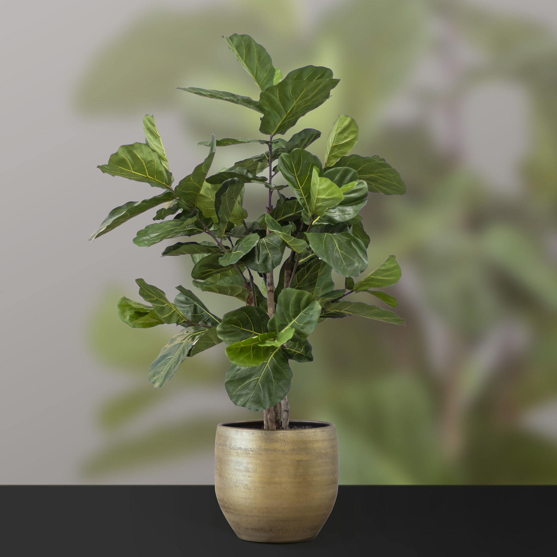 240621_ArtiBotanica_plant in pot_04