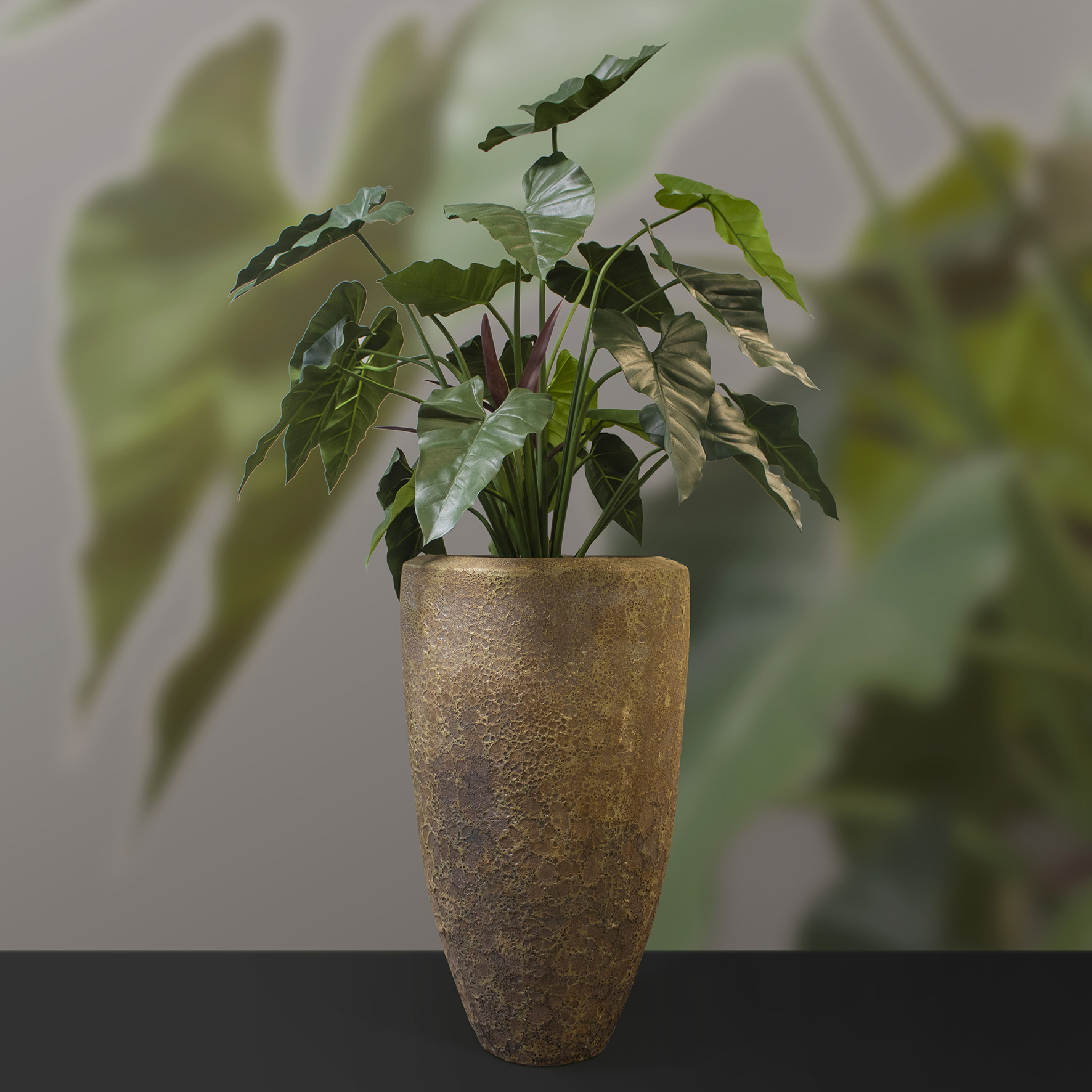 240621_ArtiBotanica_plant in pot_05