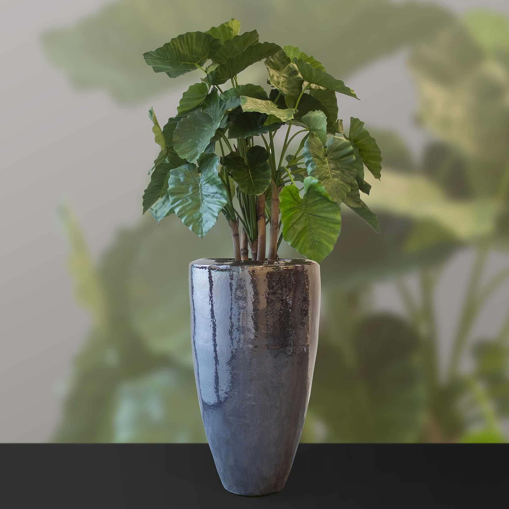 240621_ArtiBotanica_plant in pot_06