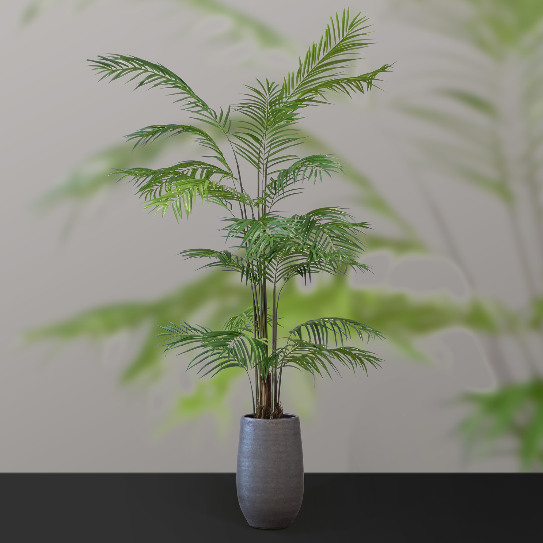 240621_ArtiBotanica_plant in pot_07